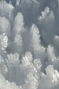 Coeus? — Book Cover