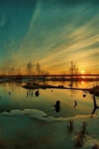 Law of Shadows — Book Cover